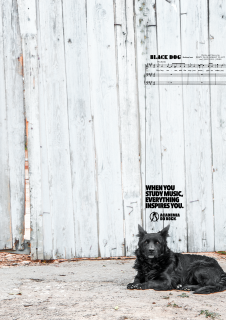 Inspiration: Black dog